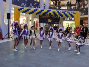 phoca_thumb_l_20190302_160113-800x600