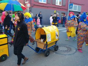 phoca_thumb_l_20190224_151926-800x600